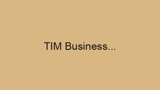 TIM Business - Incas